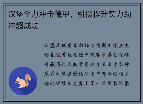 汉堡全力冲击德甲，引援提升实力助冲超成功