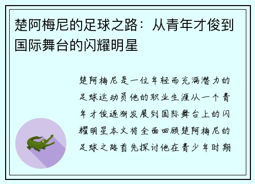楚阿梅尼的足球之路：从青年才俊到国际舞台的闪耀明星