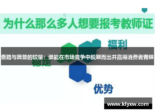查路与奥普的较量：谁能在市场竞争中脱颖而出并赢得消费者青睐